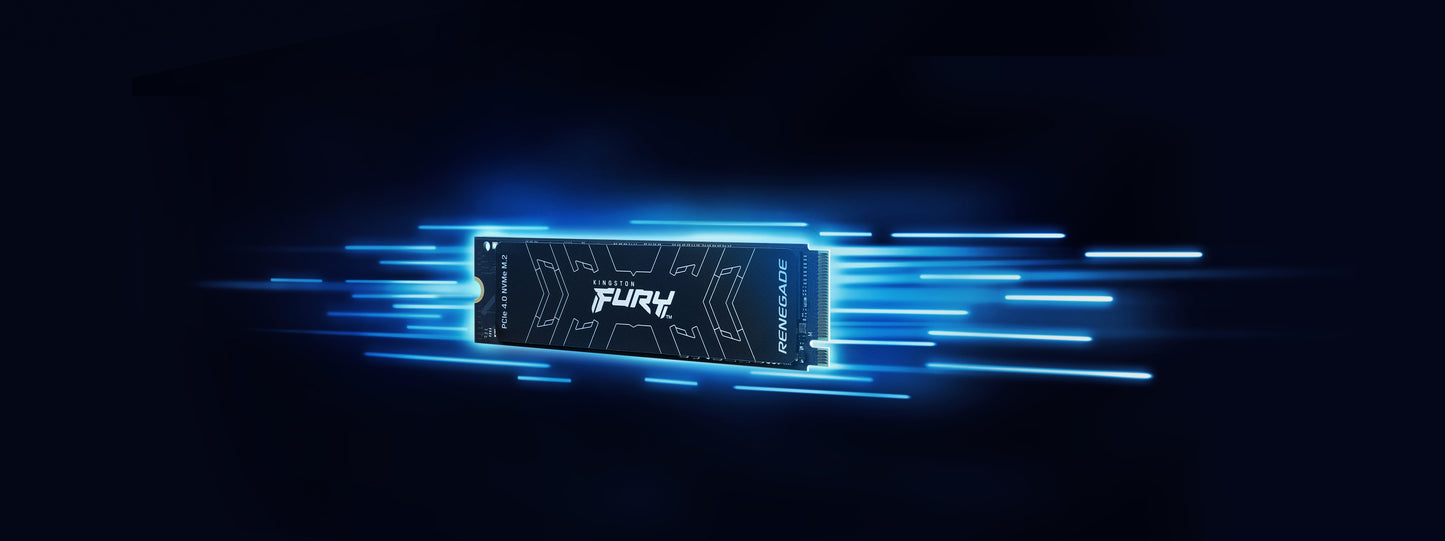 Kingston Technology FURY Renegade