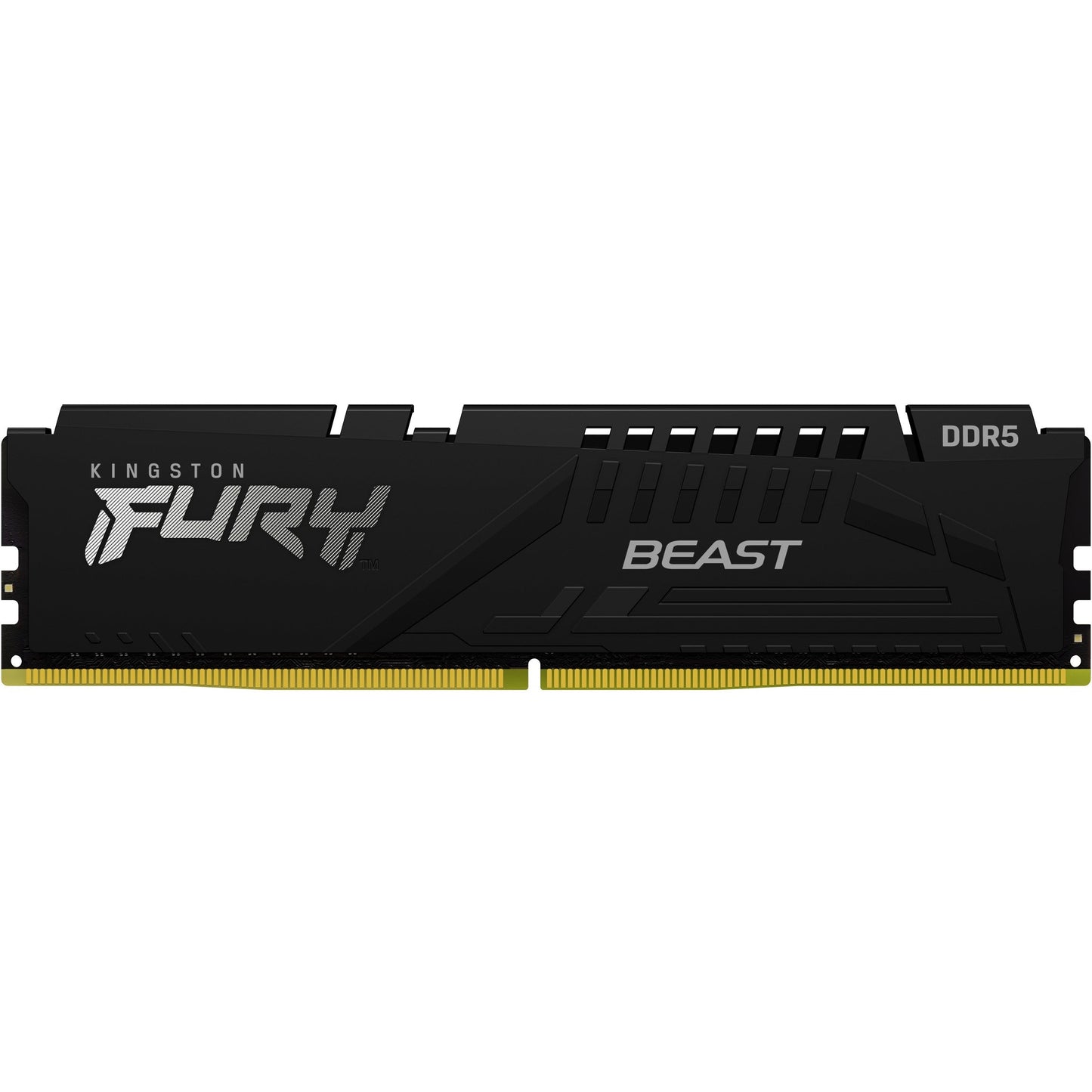 Kingston Technology FURY Beast memory module