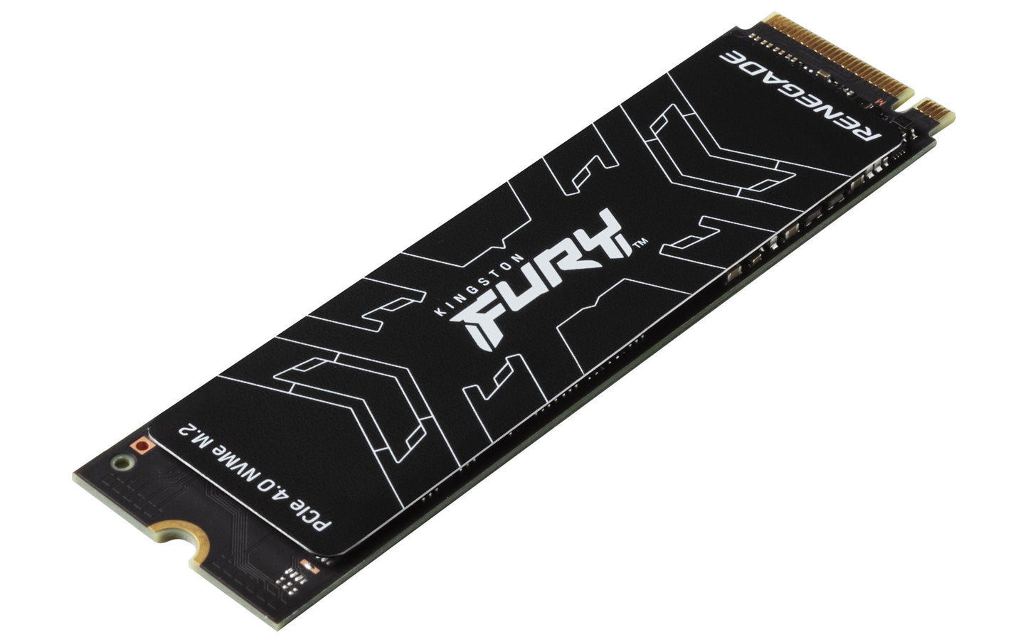 Kingston Technology FURY Renegade