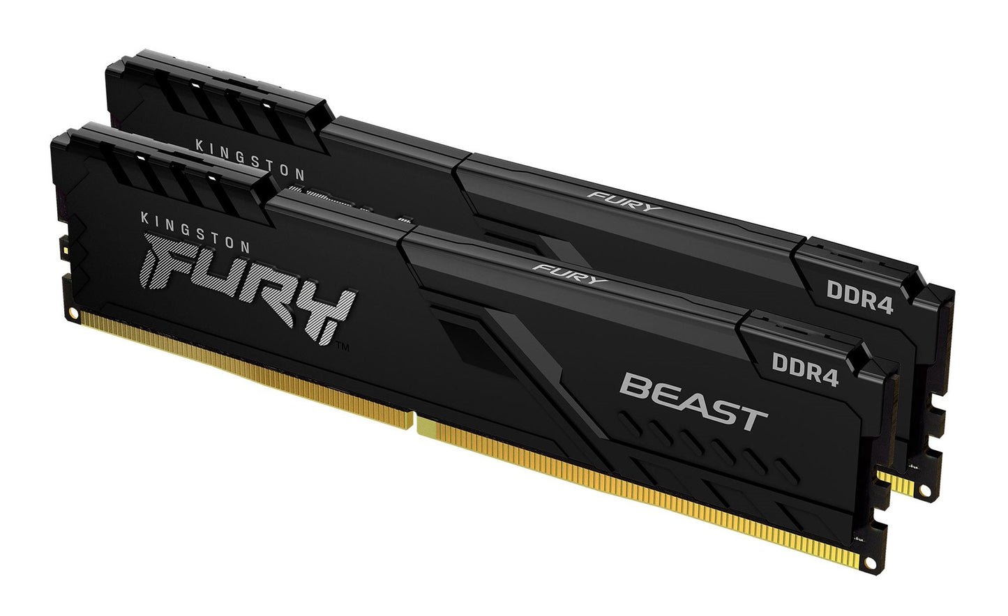 Kingston Technology FURY Beast memory module