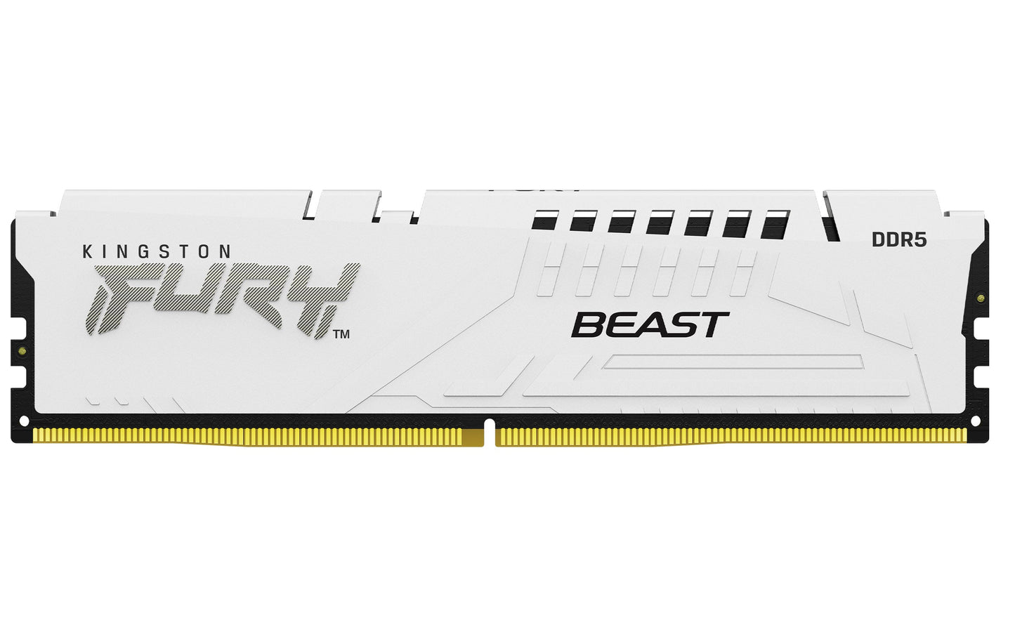 Kingston Technology FURY Beast memory module