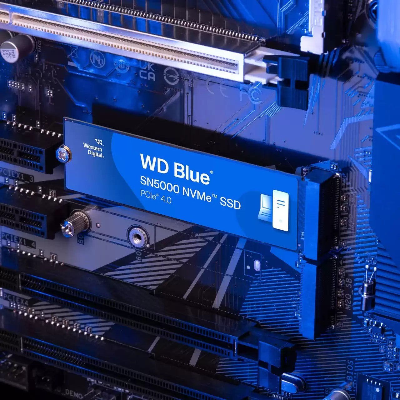 5000 MB/s