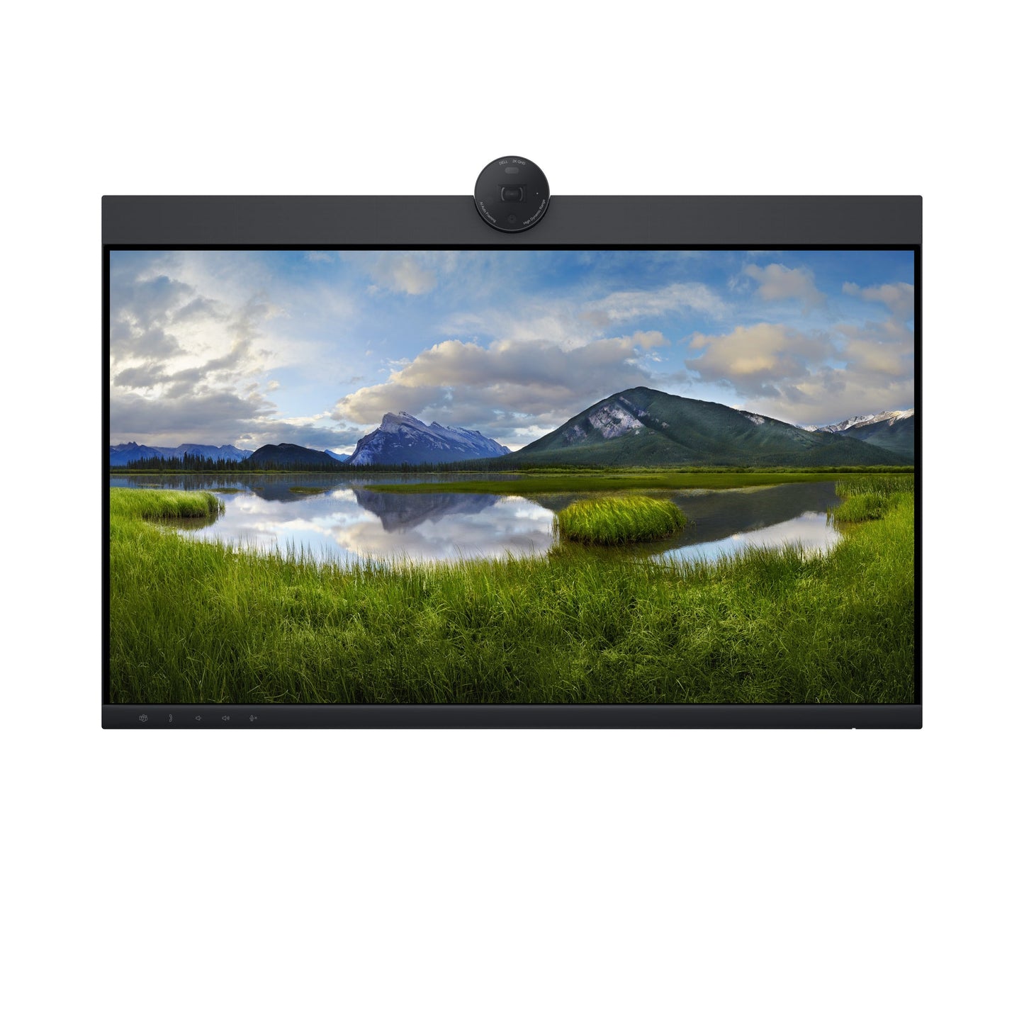 DELL P2424HEB