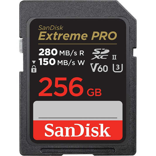 SanDisk SDSDXEP-256G-GN4IN memory card