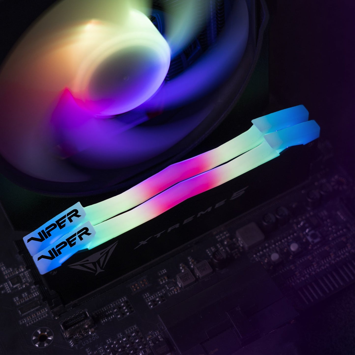 Módulo de memoria Patriot Memory Viper Xtreme 5 PVXR548G80C38K