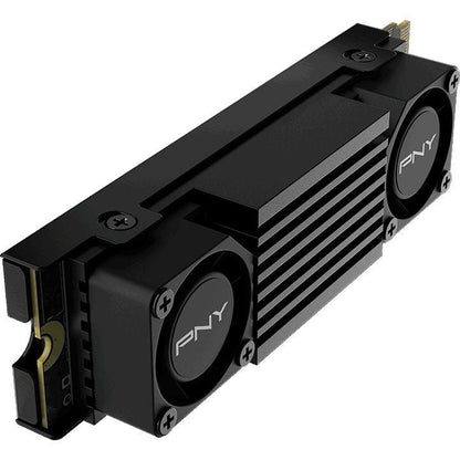 PNY CS3150