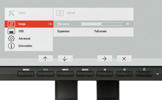 Fujitsu Displays B22-8 TS Pro computer monitor