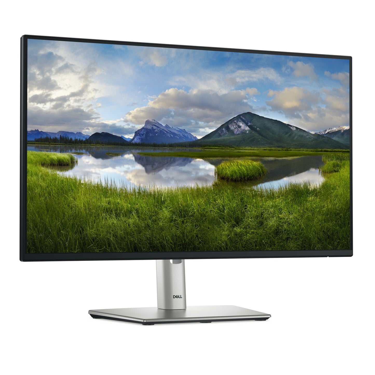 DELL P Series P2425HE computer monitor 61 cm (24") 1920 x 1080 pixels Full HD LCD Black