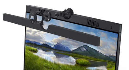 DELL P2424HEB