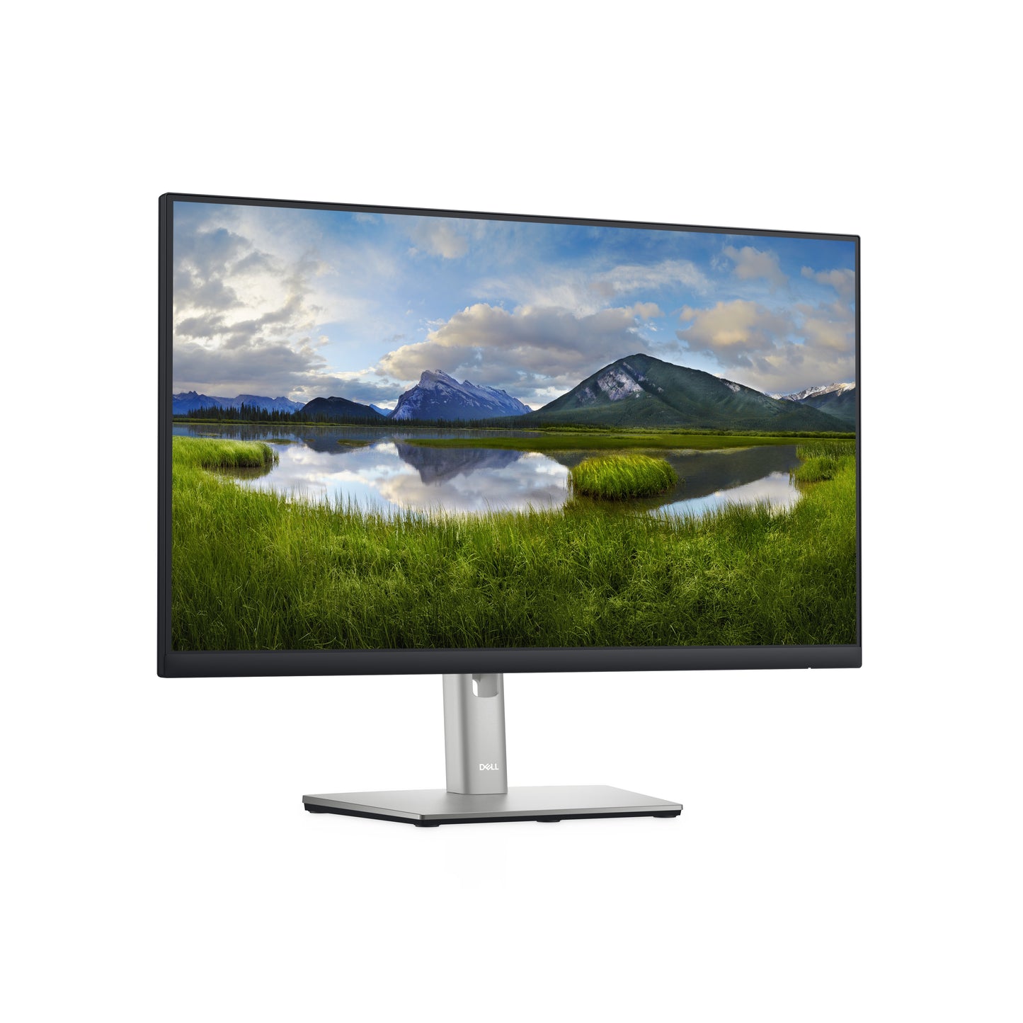 DELL P Series 24 Monitor - P2422H