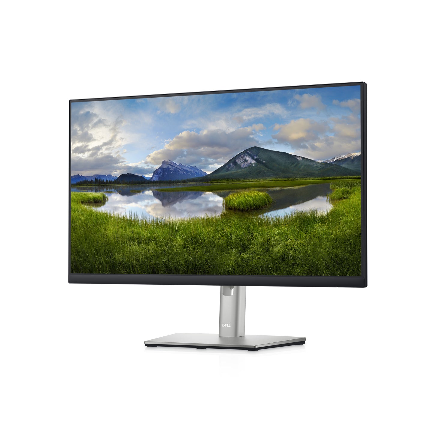 DELL P Series 24 USB-C Hub Monitor - P2422HE