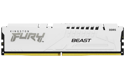 Kingston Technology FURY Beast memory module