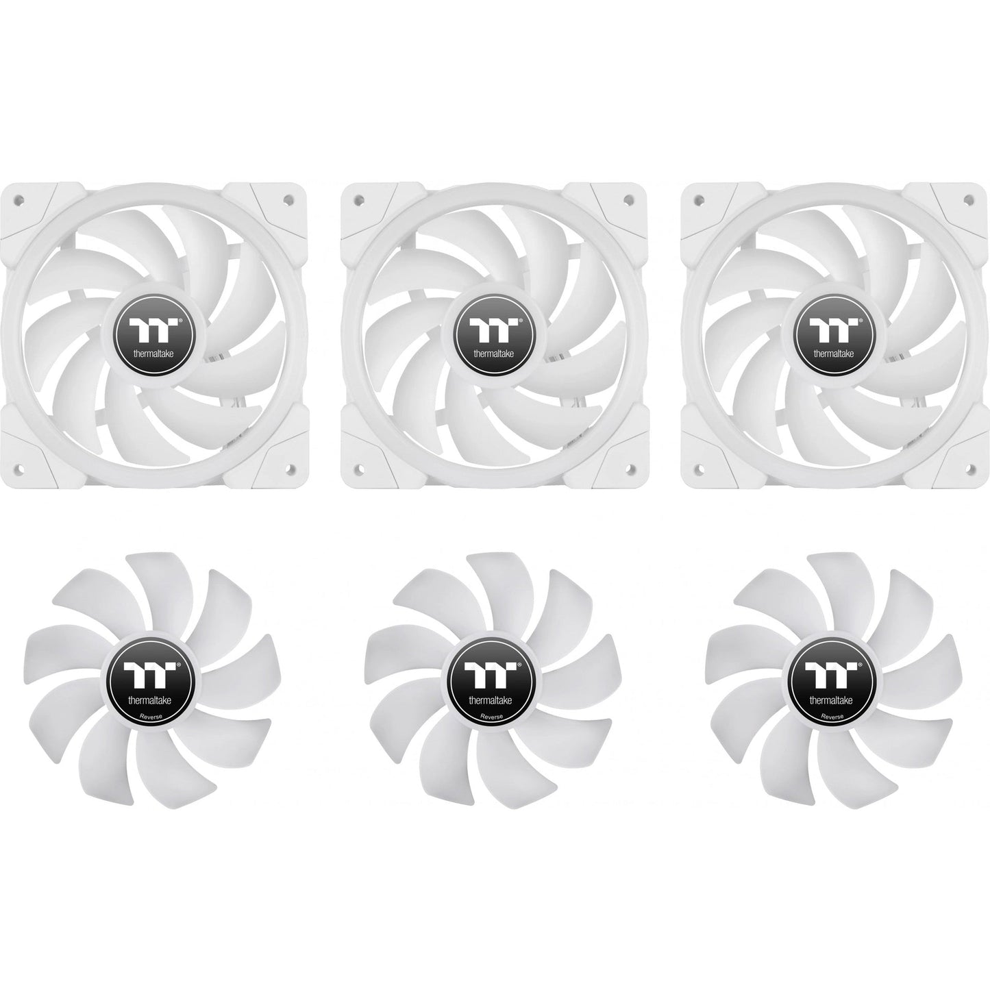  Fan