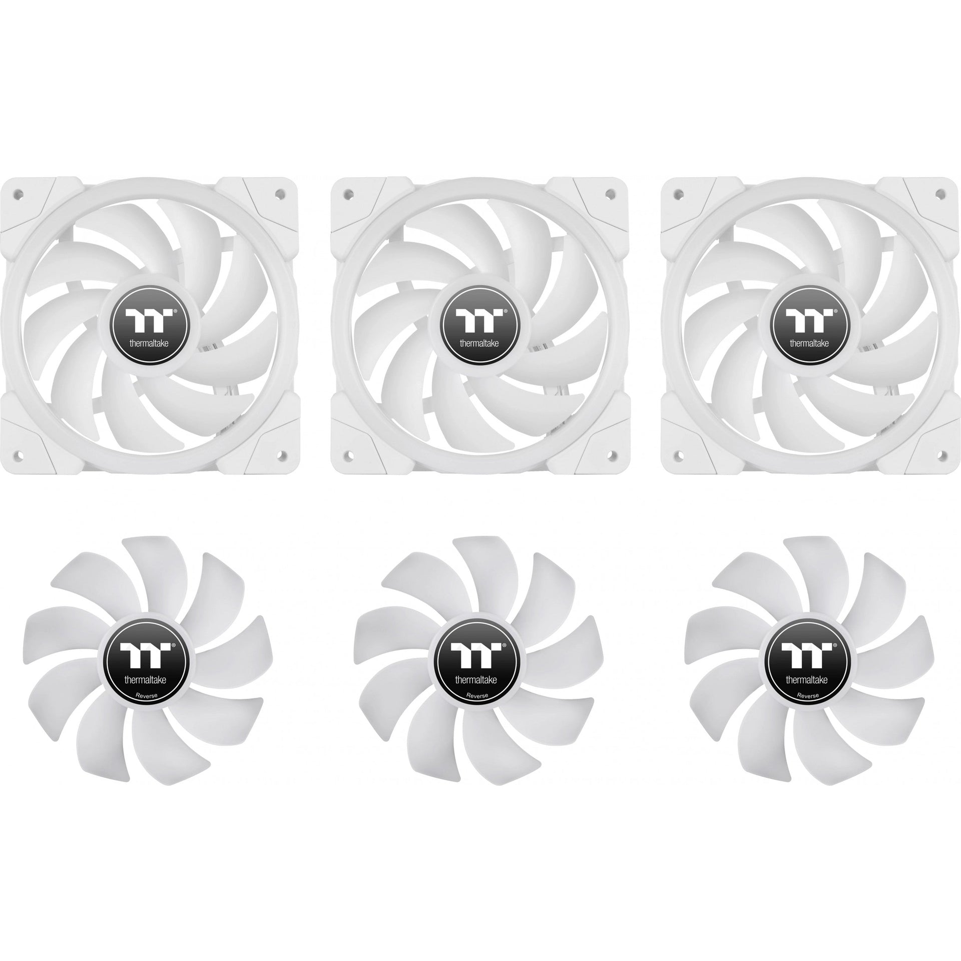  Fan